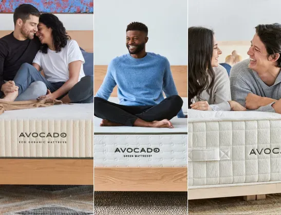 avocado-line